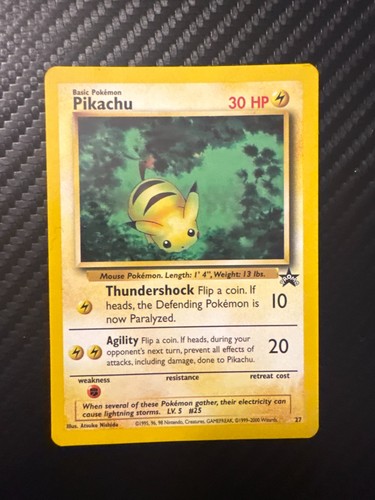 Pikachu (27)
