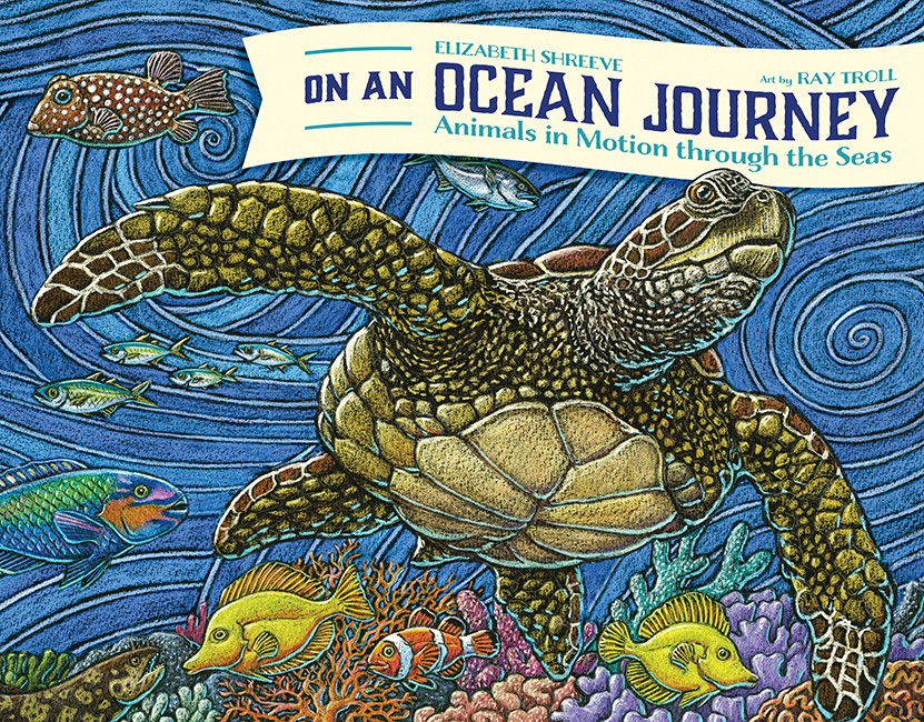 Elizabeth Shreeve On An Ocean Journey (Tascabile)