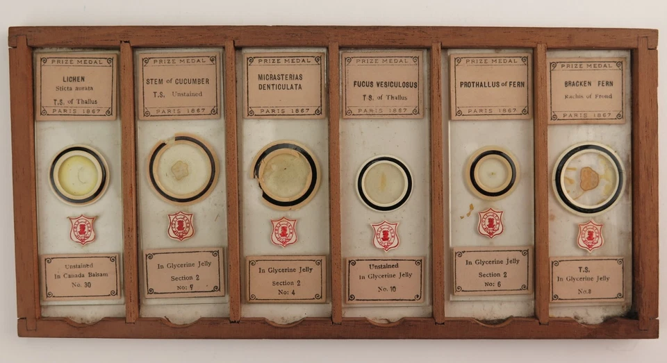 Victorian Microscope slide collection (72) including Dancer Microphotographs - Image 4 of 4