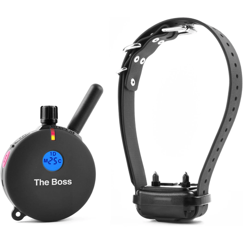 Boss Educator ET-800 Hundetraining Halsband mit Fernbedienung schwarz von E-Collar Technologies - Bild 1 von 4
