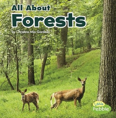 All about Forests (Habitats) Buch CAPSTONE PR