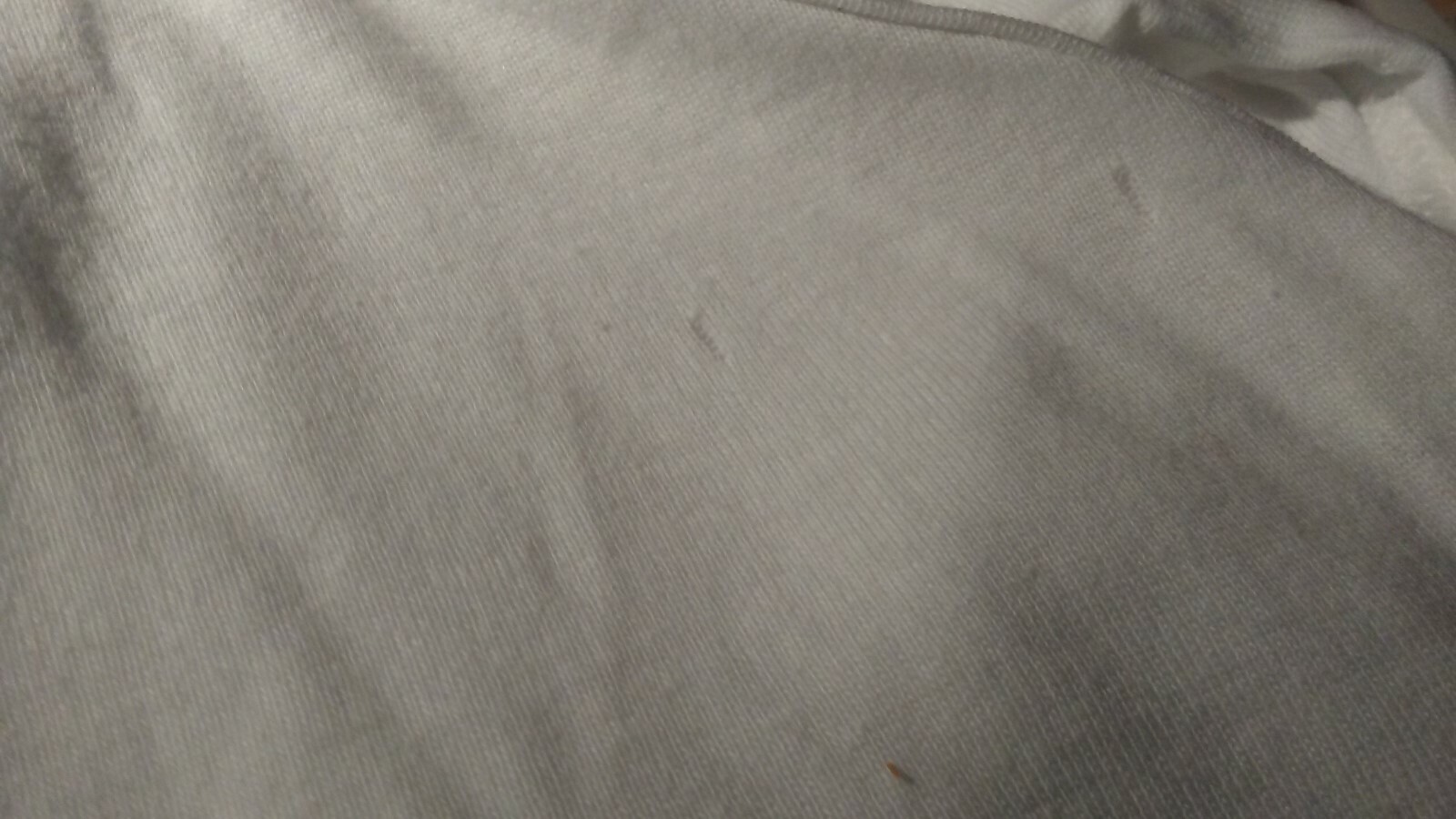 Picture 6 of 10