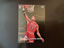 1993 NBA Hoops Face To Face Pippen/Horry #FTF9