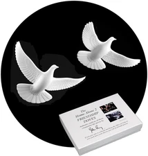 Home Alone 2 Doves Pair Authentic REPLICAS USA Made Direct from John White 