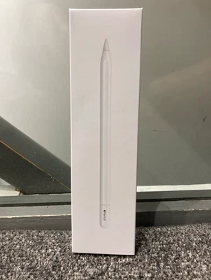Apple Pencil (USB-C) - En caja - Excelente estado - Nunca usado en caja original - Imagen 1 de 4