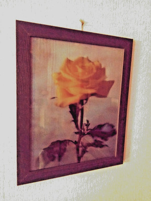 3-D-Bild - Gelbe Rose  3-D Technik, Auto Stereo Scopic    Bild 49cm x39 cm