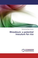 Muhammad Baqir Hussain | Rhizobium: A Potential Inoculum For Rice | Taschenbuch