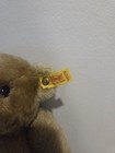 Vtg 12.5” Steiff Bear 0155/32 Hump Back Button Tag Germany Growler — photo 2