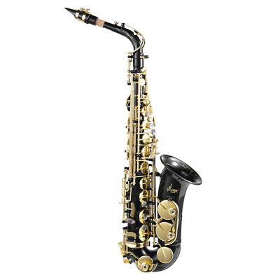 Brass EB Alto Saxophone Gold Lacquer Beginner Student Kit With Maintenance Tools