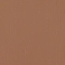 AC Cardstock, Primaries, Cocoa Brown Cardstock, 2 x 12', Texture, 80 lb, Medium