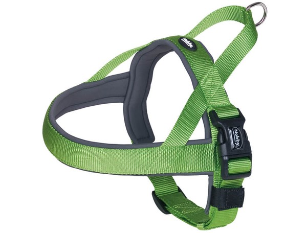 "Nobby Norwegergeschirr \"Classic Preno\" Neon GrüN L: 68-85Cm + 54Cm"-image