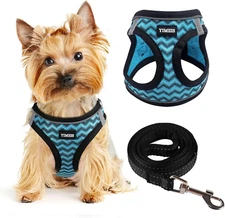 Dog Harness (XS, Blue) for Small Dogs, Lightweight Harness & Leash Set, Adjustab