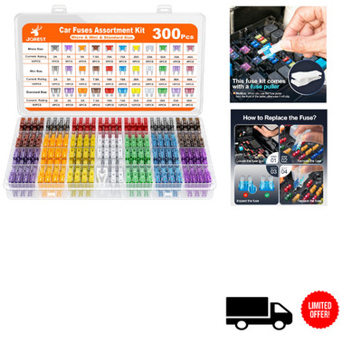 300 Stück KFZ Sicherung Set, 160 Mini 90 Standard 50 Micro Sicherungen 2-40A