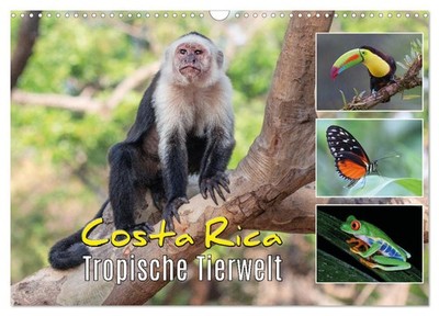 Costa Rica - Tropische Tierwelt (Wandkalender 2027 DIN A3 quer), CALVENDO Monats