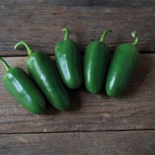 25  seeds SVHJ5816 Jalapeno  hot pepper garden planting spicy food