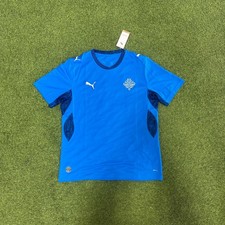 Puma Iceland Home Men's Stadium Soccer Jersey 26