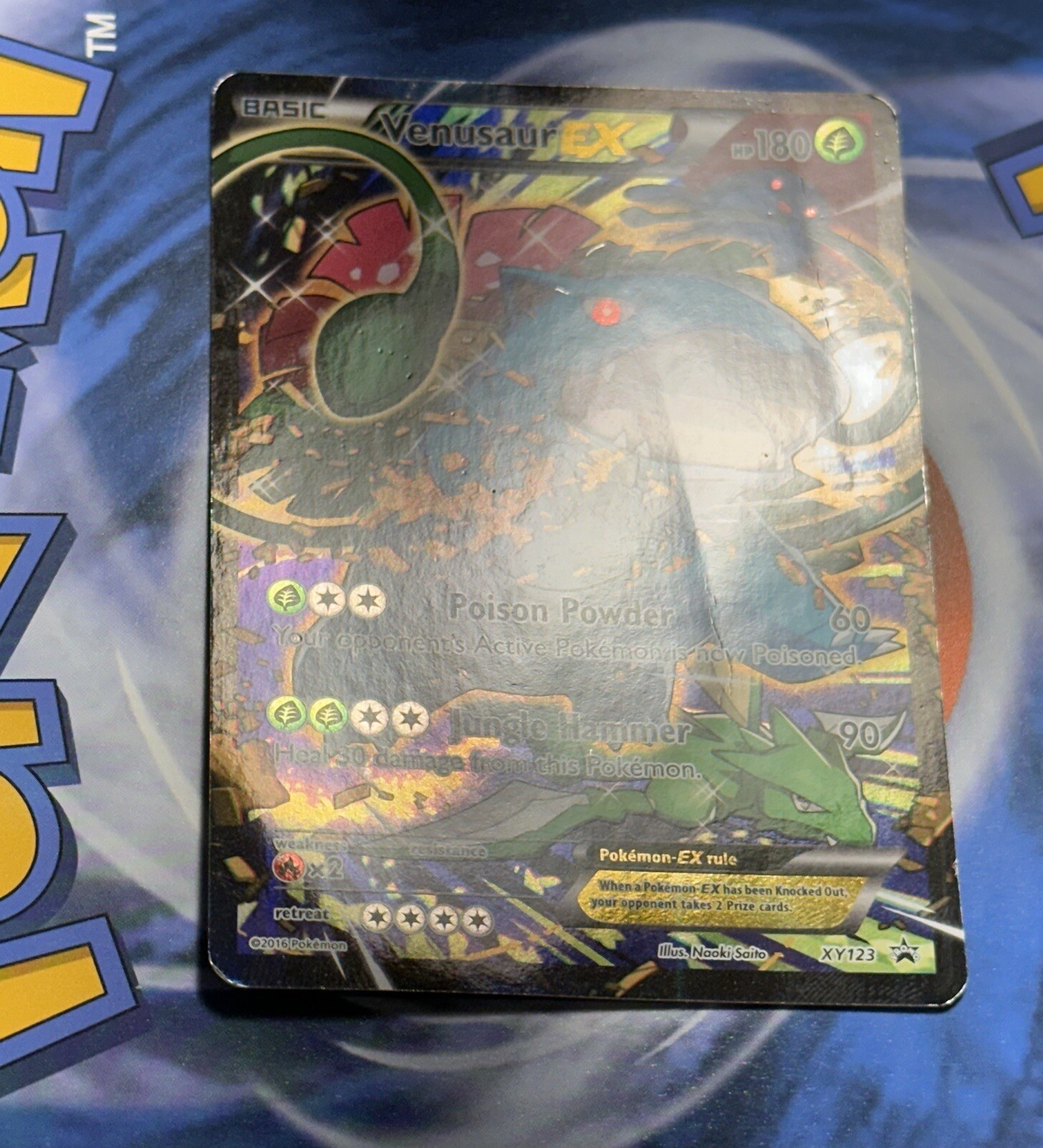 Venusaur EX XY123 Black Star Promo Holo Ultra Rare 2014 Pokémon Card TCG eBay