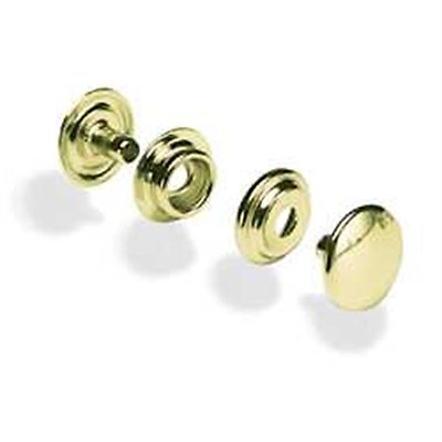 Line 24 Brass Plated Snaps 100 Pack 1263-11 by Stecksstore