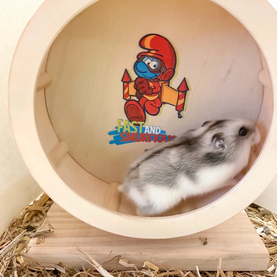 Duvo+ Nager Laufrad "Die Schlümpfe" 15 cm für Zwerghamster & Mäuse - Bild 3 von 3