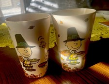 Lot de 2 gobelets en verre Peanuts Charlie Brown Snoopy & Gang automne Thanksgiving