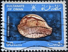 Oman 1982 50B Teulere's Cowrie Shell SG265 used stamp