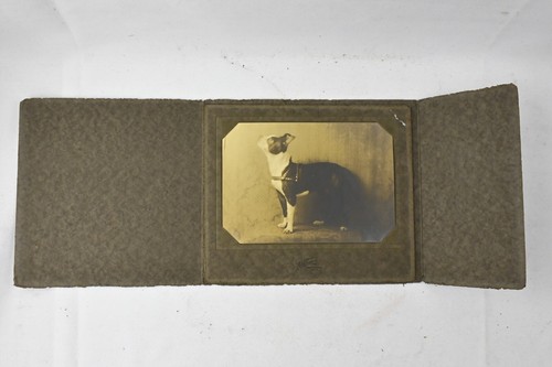 Retrato de perro vintage (7,25" x 8,5") - Imagen 2 de 4