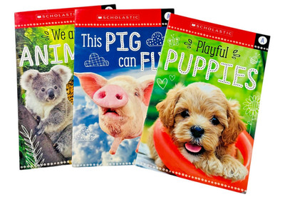 Beginner Reader Book Lot 3 Early Reading Kids Paperback Set