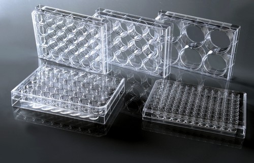 NEST 12-Well Tissue Culture Plate with Lid, Individually Wrapped 50/cs, Sterile