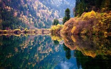 Landscape nature blue reflection fall forest lake Custom Gaming Mat Desk
