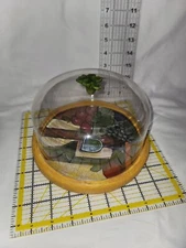 Vintage Jo!e Trader Joe's Wine Art Resin Cheese Cutting Board And Cover