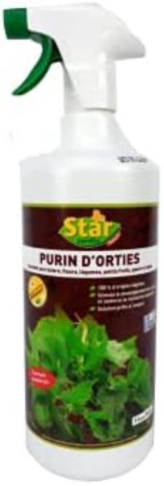 Star Jardin Purin, No Color
