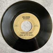 There She Goes Detroit & The Intruders RARE Northern Soul Popcorn 7” 45 Dellwood