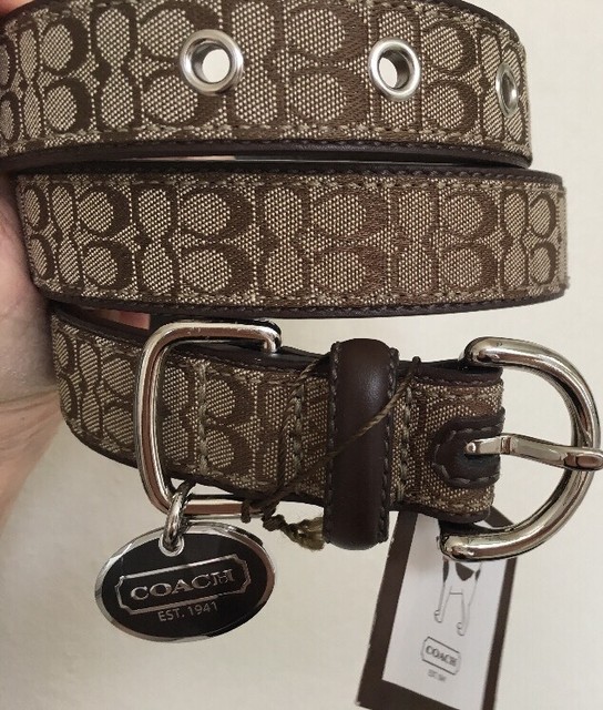 coach dog collar