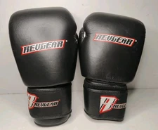 Revgear Adult Boxing Gloves - Lightly Used 14oz Boxing MMA Gloves