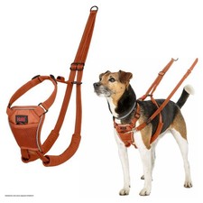 Halti No Pull Geschirr für Hunde Burnt Orange Anti-Zug Erziehungsgeschirr