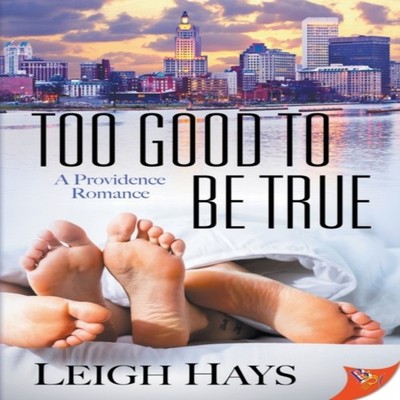 Too Good to Be True Leigh Hays Paperback Bold Strokes Books