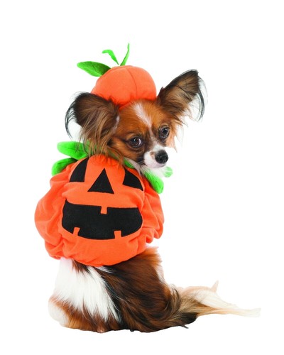 Produktbild von Haustier Mottoparty Outfit Mipcase Fledermaus Flügel Kostüm Für Haustiere - Schwarzes Halloween Outfit Für Hunde & Katzen Fledermausflügel Hund