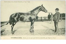 hippisme.n°35999.cymbalier.alezan .1909.CHEVAUX.SUPPLEMENT A LA FRANCE CHEVAL