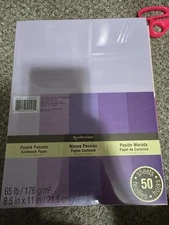 LOT of Michaels Recollections Card Stock