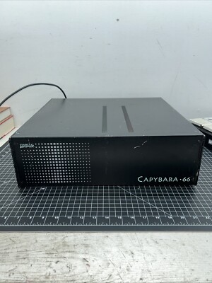 Symbolic Sound Capybara 66