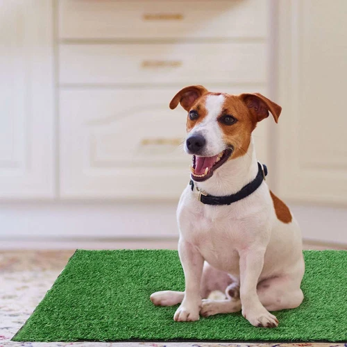 Pet Potty Trainer Grass Mat Dog Puppy Training Pee Poop Pad for Indoor Toilet - Picture 18 of 18