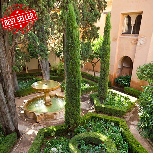 Set of 2 Italian Cypress Trees, 90-120CM Tall, Ornamental Evergreen Shrubs - Picture 3 of 12