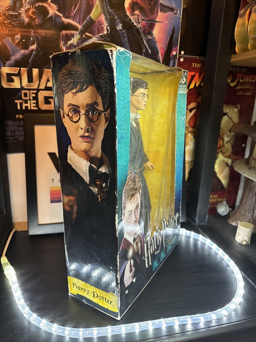 Harry Potter Order of the Phoenix 18
