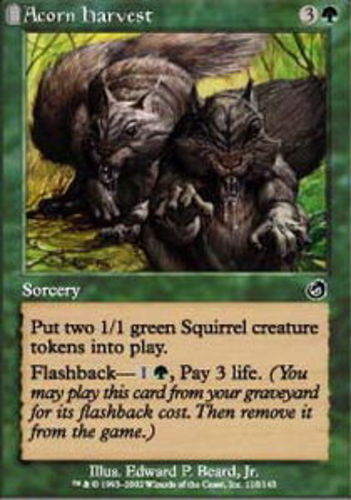 MTG - Acorn Harvest - Torment - NM, English Magic FLAT RATE SHIP - Picture 1 of 1
