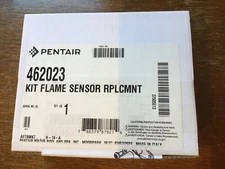 462023 Pentair ETI 400 Flame Sensor Replacement Kit