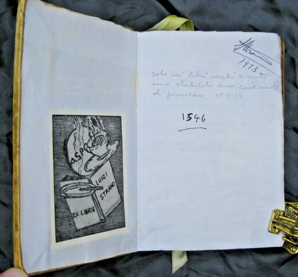 Picture 7 of 10
