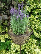 Blumenkorb aus Metall zum Stecken 100 cm hoch Gartenstecker Pflanzkorb Steckkorb