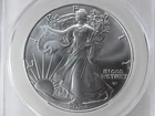 NobleSpirit 2024 American Silver Eagle First Delivery Nugget Sig CAC MS70
