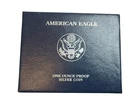 2007 American Eagle One Ounce Silver Proof Coin