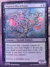 Blighted Blackthorn 90 Common Lorwyn Eclipsed Magic: The Gathering Foil LP